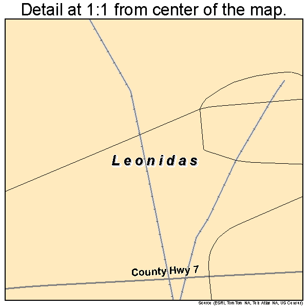 Leonidas, Minnesota road map detail