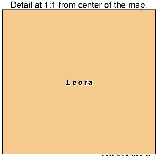 Leota, Minnesota road map detail