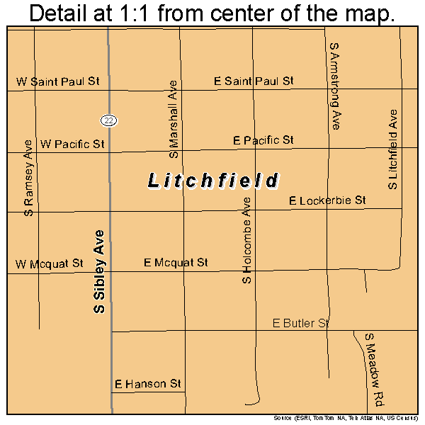 Litchfield, Minnesota road map detail
