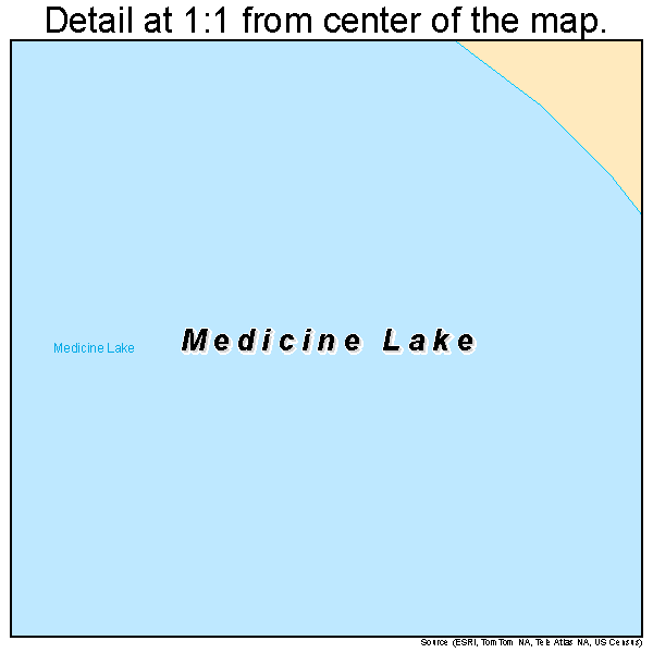 Medicine Lake, Minnesota road map detail