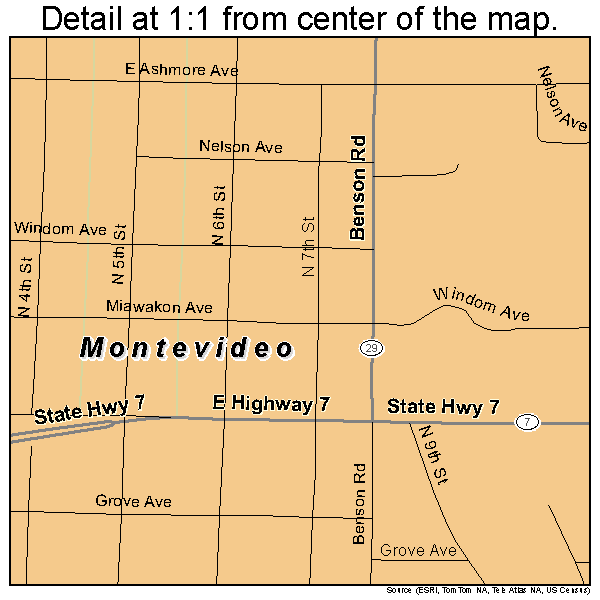 Montevideo, Minnesota road map detail