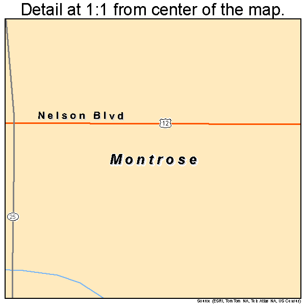 Montrose, Minnesota road map detail