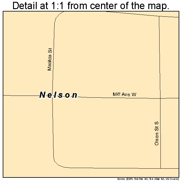 Nelson, Minnesota road map detail