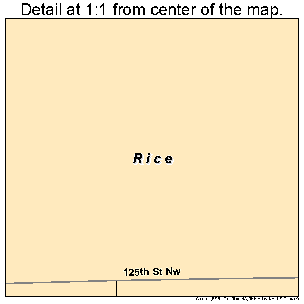 Rice, Minnesota road map detail