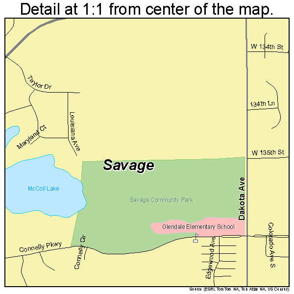 Savage, Minnesota road map detail