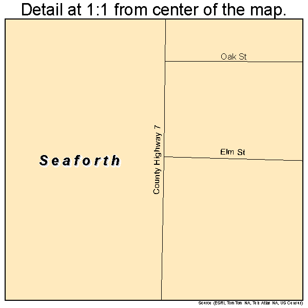Seaforth, Minnesota road map detail