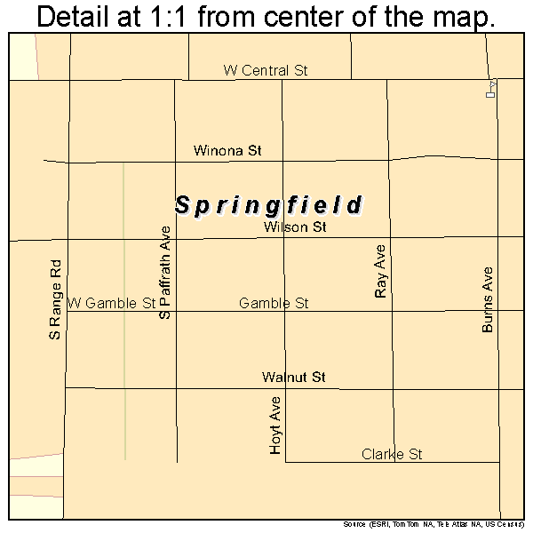 Springfield, Minnesota road map detail