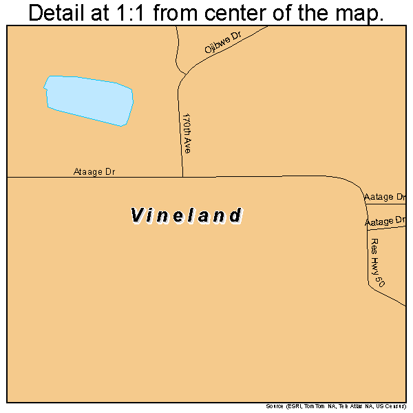 Vineland, Minnesota road map detail