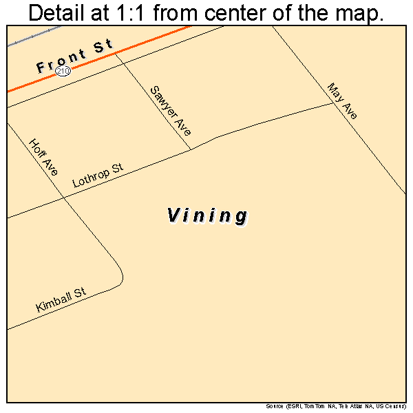 Vining, Minnesota road map detail