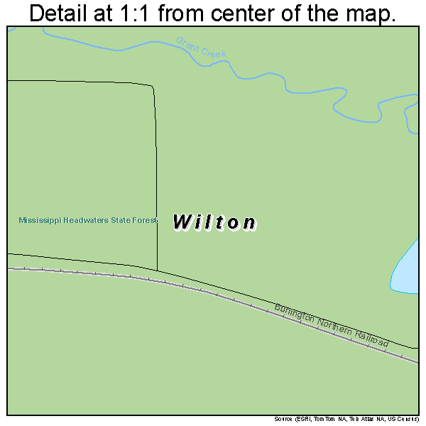 Wilton, Minnesota road map detail
