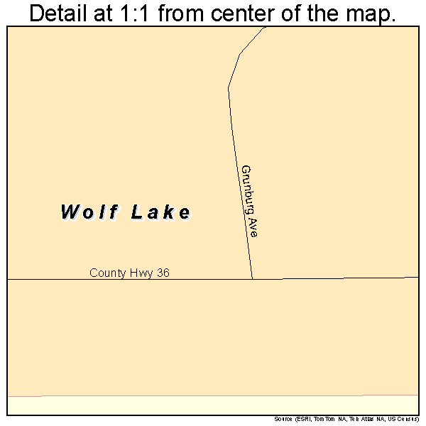 Wolf Lake, Minnesota road map detail