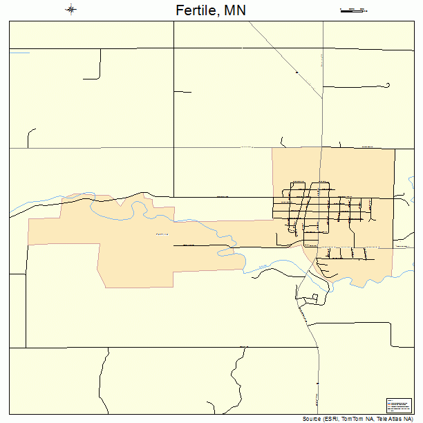 Fertile, MN street map