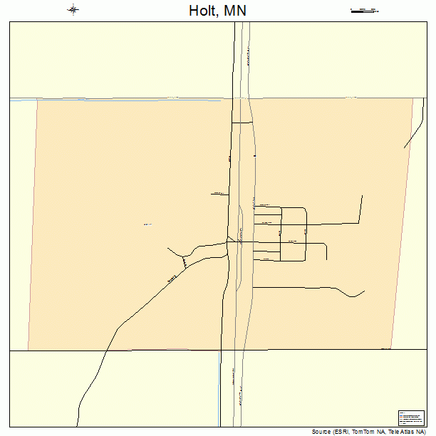 Holt, MN street map