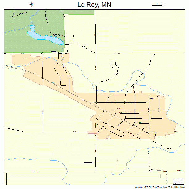 Le Roy, MN street map