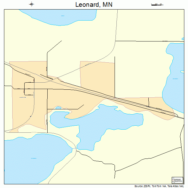 Leonard, MN street map