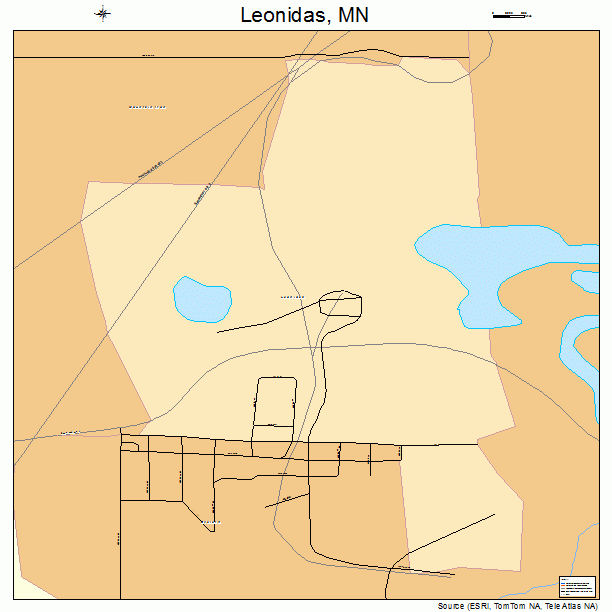 Leonidas, MN street map