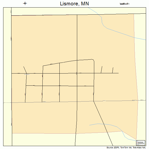 Lismore, MN street map