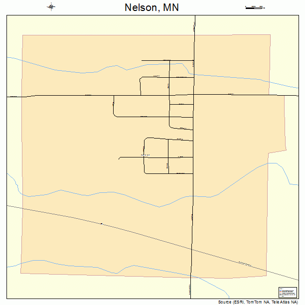 Nelson, MN street map