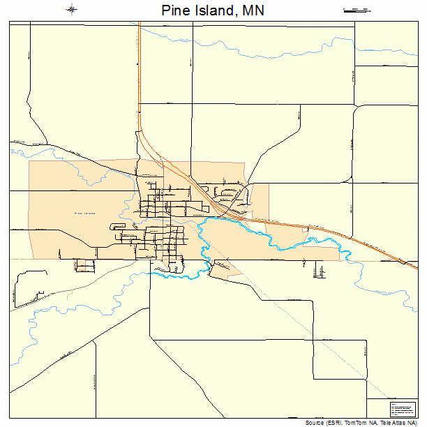 Pine Island, MN street map