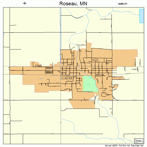 Roseau, MN street map