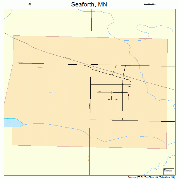 Seaforth, MN street map