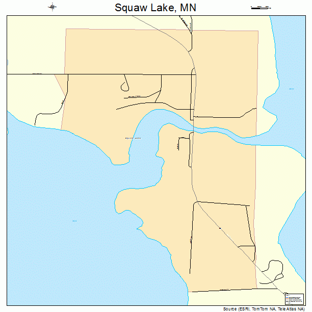 Squaw Lake, MN street map