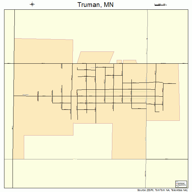 Truman, MN street map