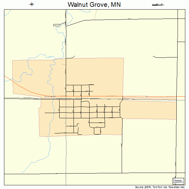 Walnut Grove, MN street map