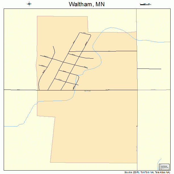 Waltham, MN street map