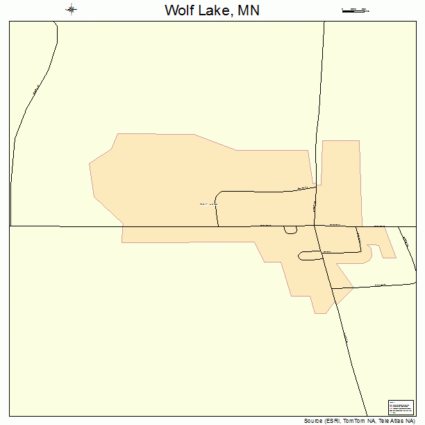 Wolf Lake, MN street map