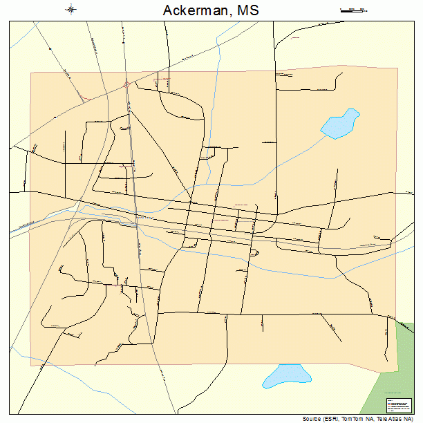 Ackerman, MS street map