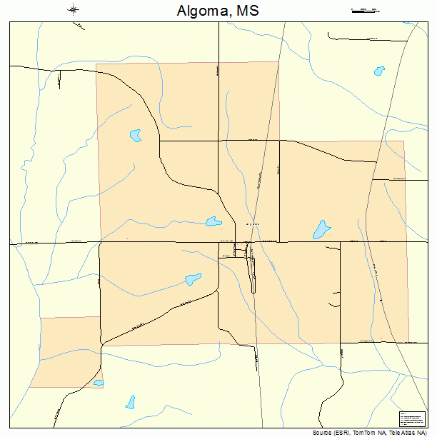 Algoma, MS street map