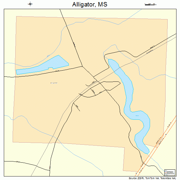 Alligator, MS street map