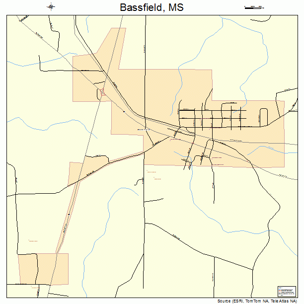 Bassfield, MS street map