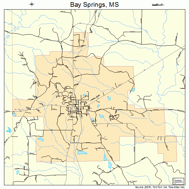 Bay Springs, MS street map