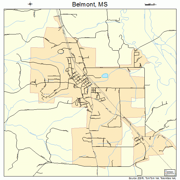 Belmont, MS street map