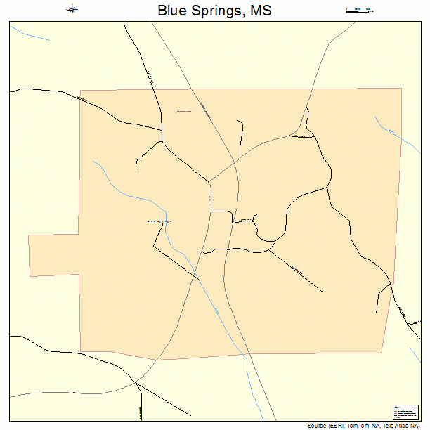 Blue Springs, MS street map