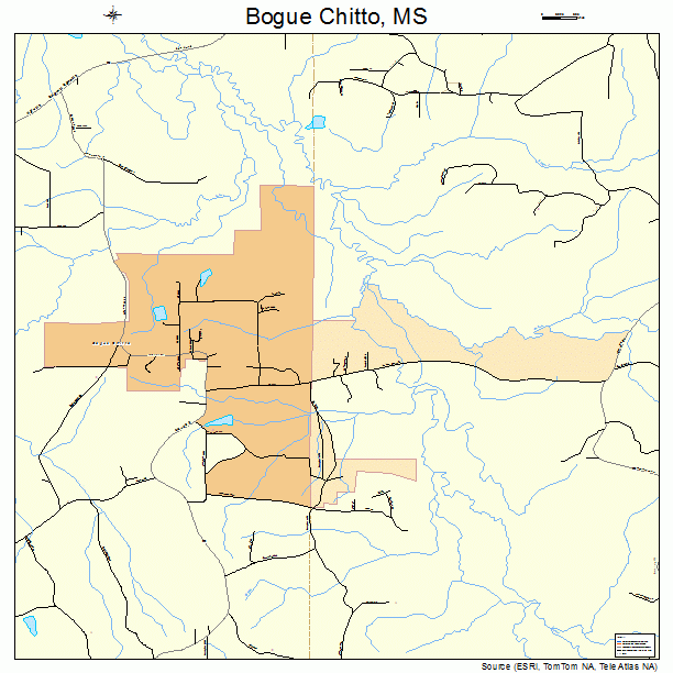 Bogue Chitto, MS street map