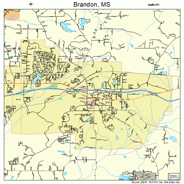 Brandon Mississippi Street Map 2808300