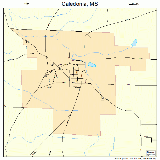 Caledonia, MS street map