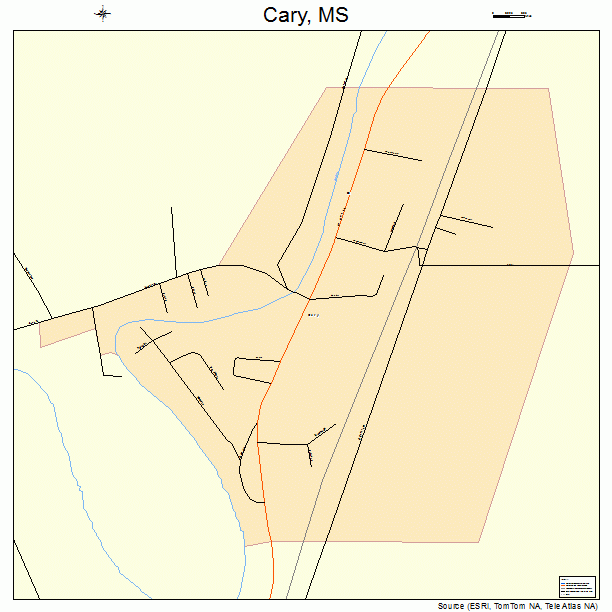 Cary, MS street map