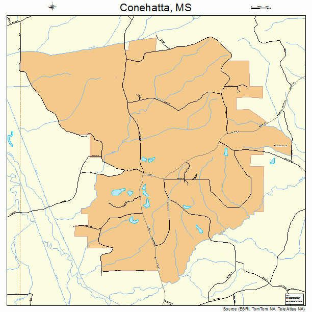 Conehatta, MS street map