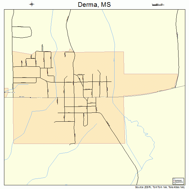 Derma, MS street map