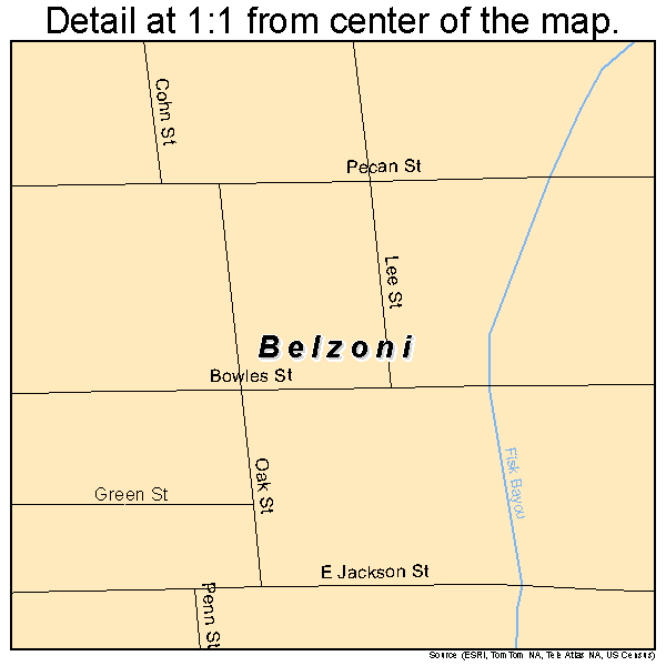 Belzoni, Mississippi road map detail