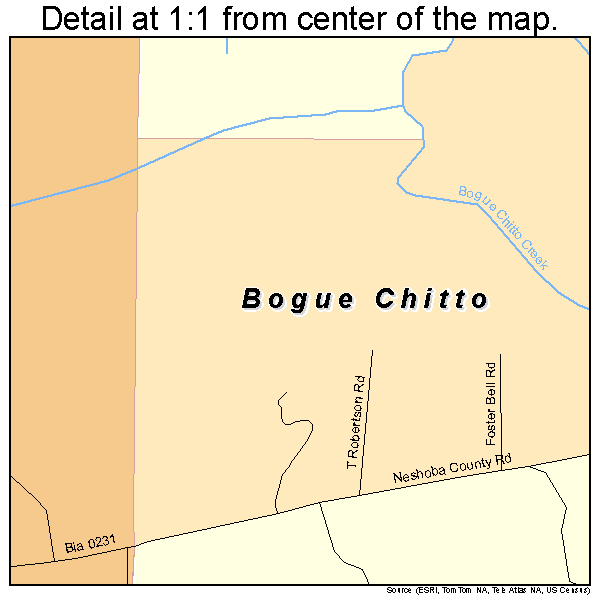Bogue Chitto, Mississippi road map detail