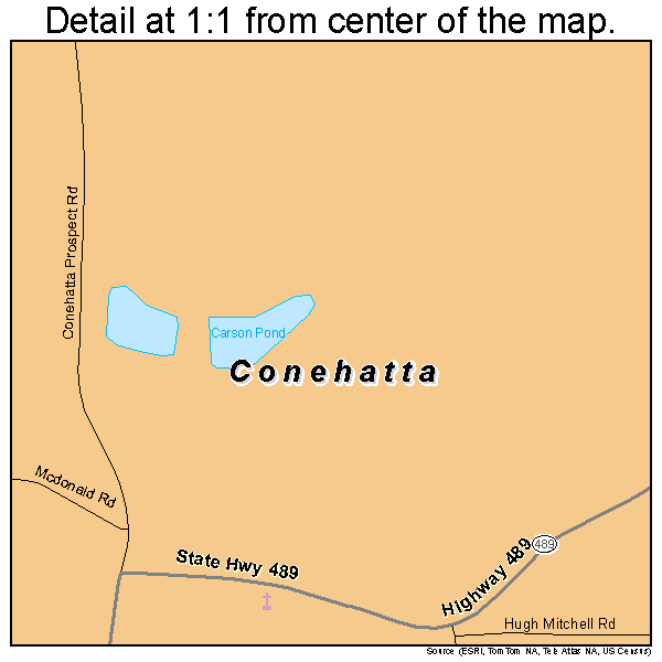 Conehatta, Mississippi road map detail