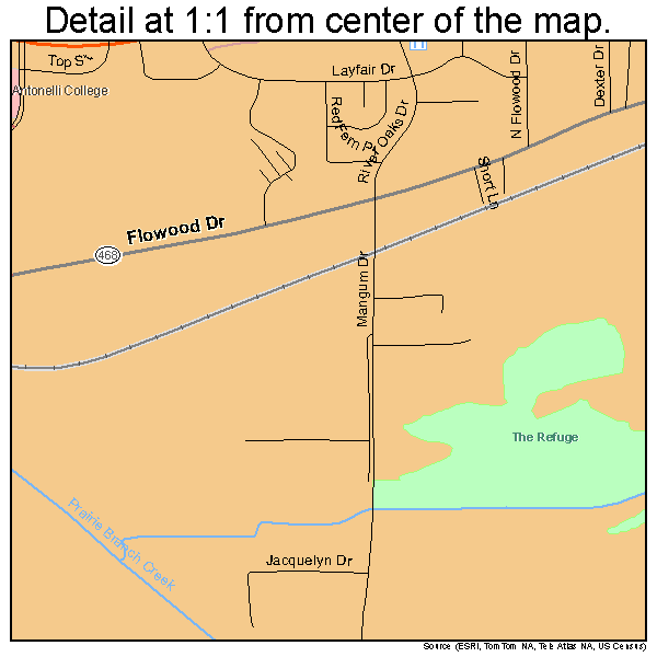 Flowood, Mississippi road map detail