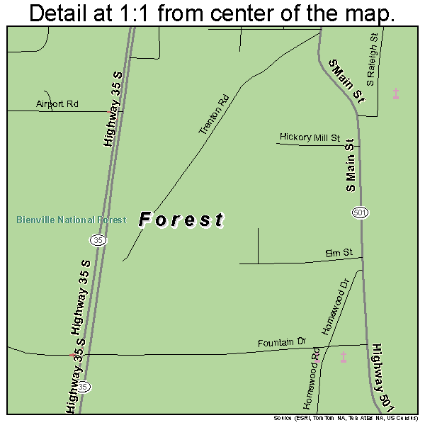 Forest, Mississippi road map detail