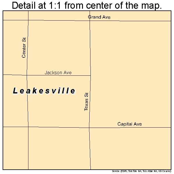 Leakesville, Mississippi road map detail