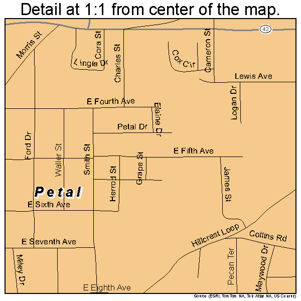 Petal, Mississippi road map detail